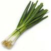 imageGreen Onions Scallions One Bunch