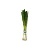 imageGreen Onions Scallions One Bunch