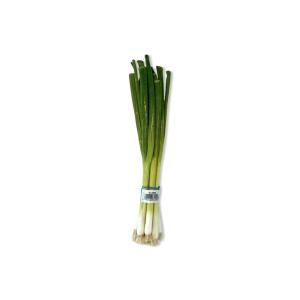 imageGreen Onions Scallions One Bunch